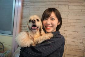 スタッフ　ハローズドッグ