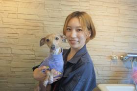 スタッフ　ハローズドッグ