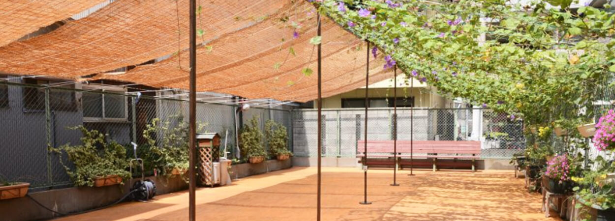 ペットホテル　ハローズドッグ