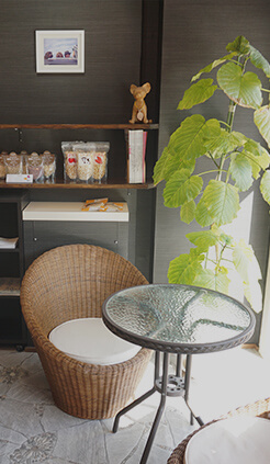 ハローズドッグ　店舗写真